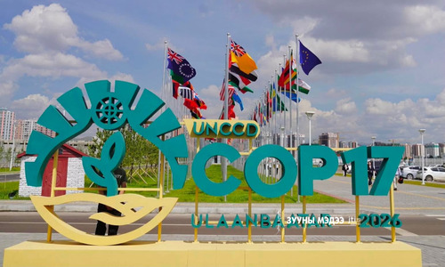 COP17: Нээлтийн өдрийн фото